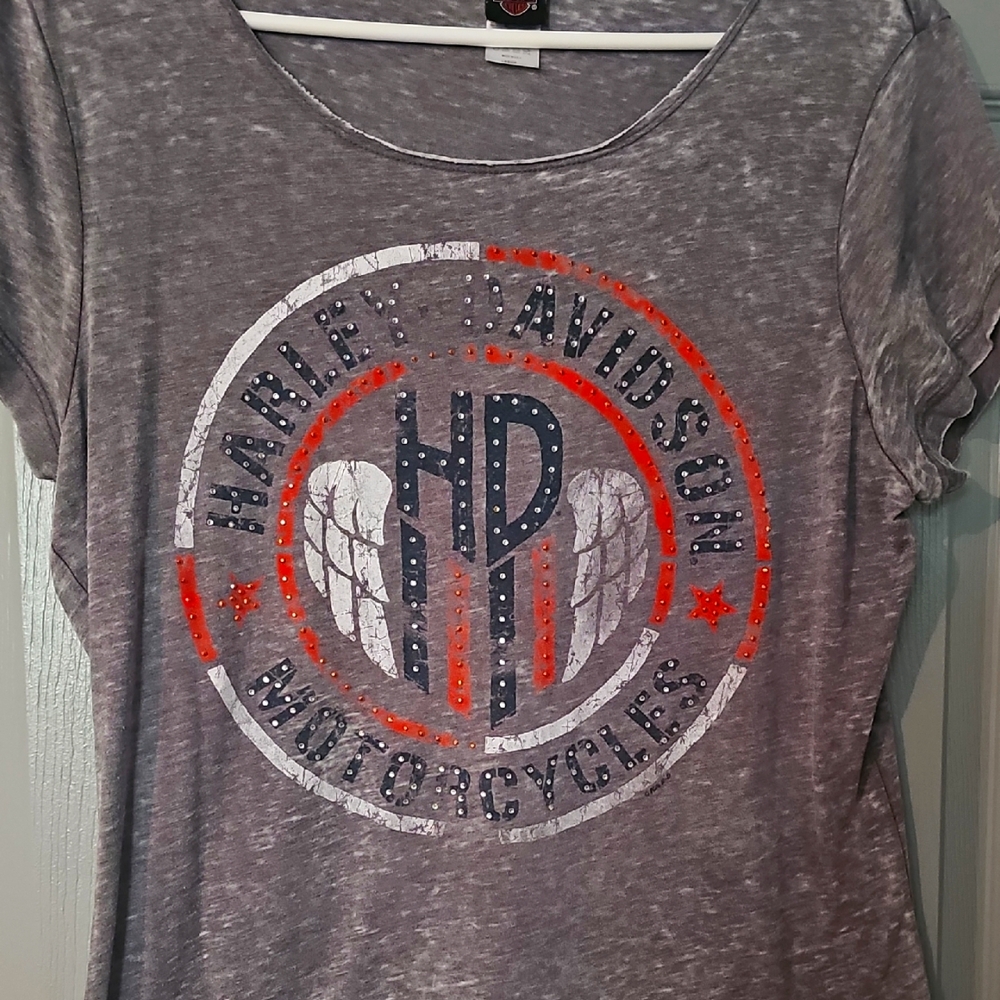 Harley-Davidson Gray Graphic T-Shirt